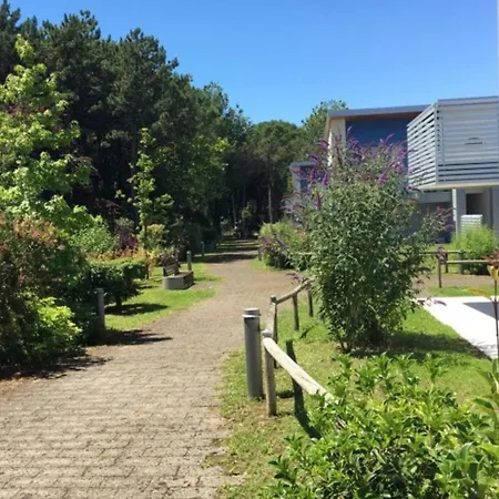 Tranquil Townhomes Close To The In